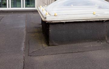 disadvantages of Riddlecombe flat roofs