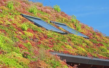 Riddlecombe living roof systems